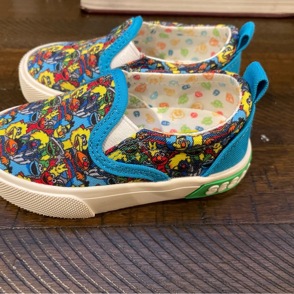 Kids Slip-On Canvas Shoes in Multicolor and Blue